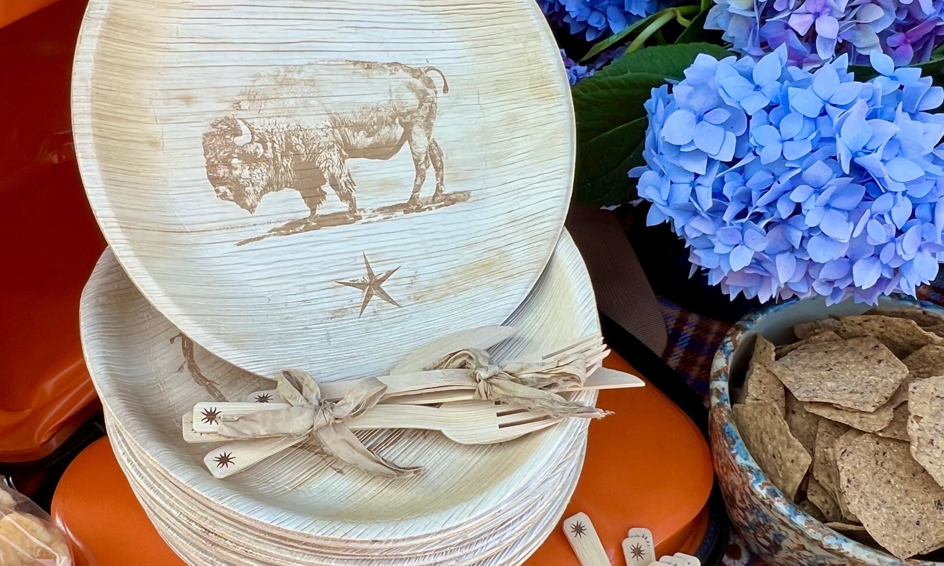 maaterra plates at a tailgate party