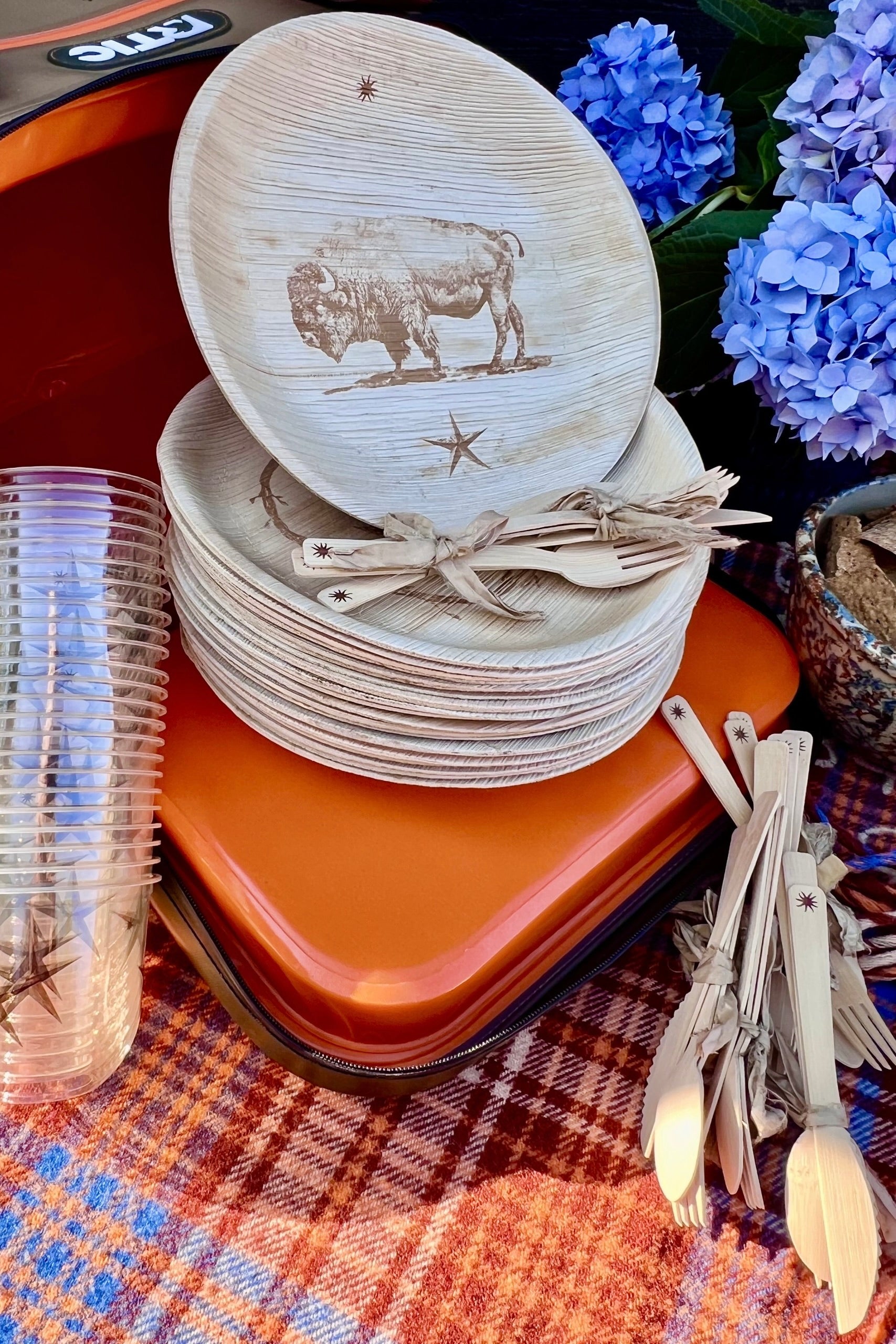 All Season Plates - American Bison