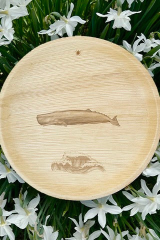 Summer Seasonal Plates - Whale Tale
