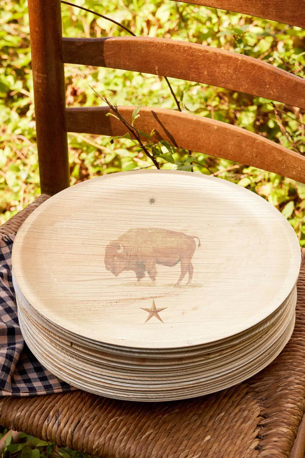 maaterra compostable palm leaf plate with american bison design.