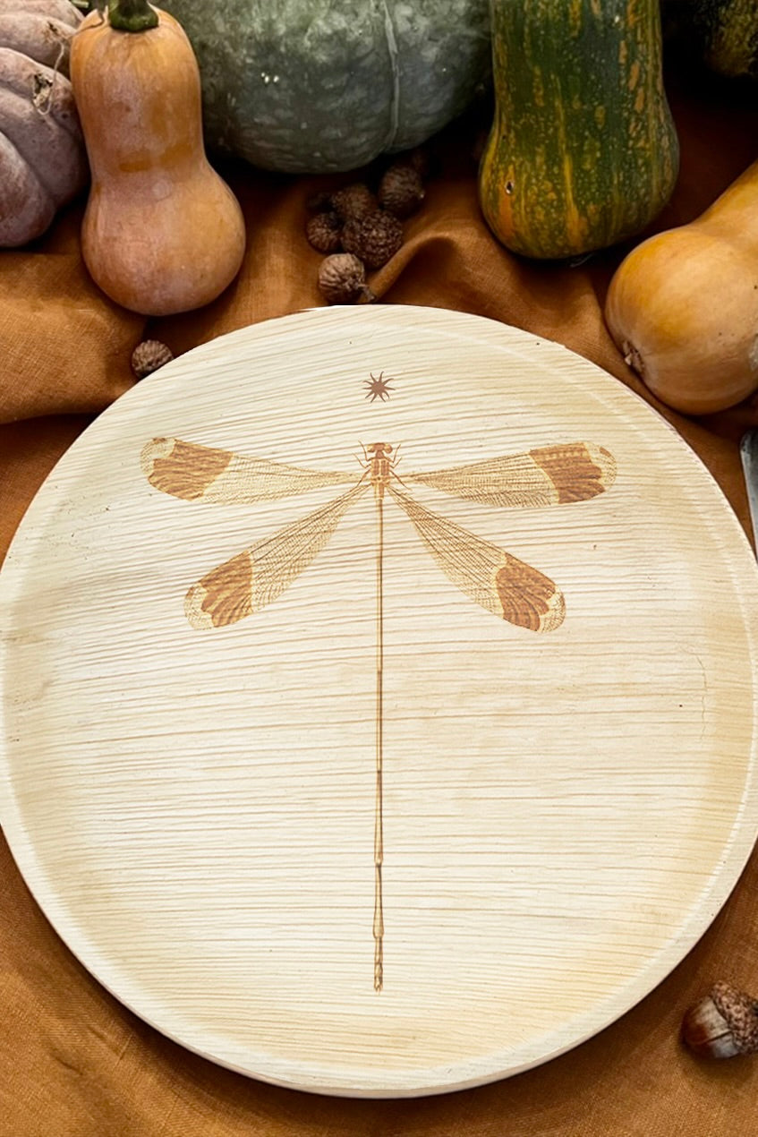 Summer Seasonal Plates - Dragonfly