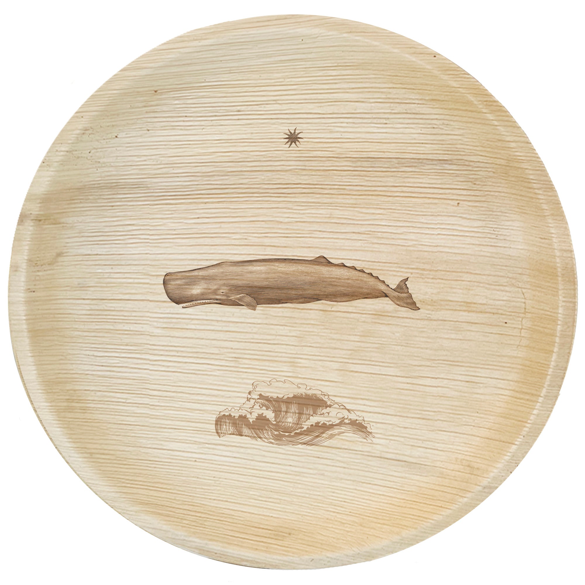 maaterra compostable plate with whale tale design on white background