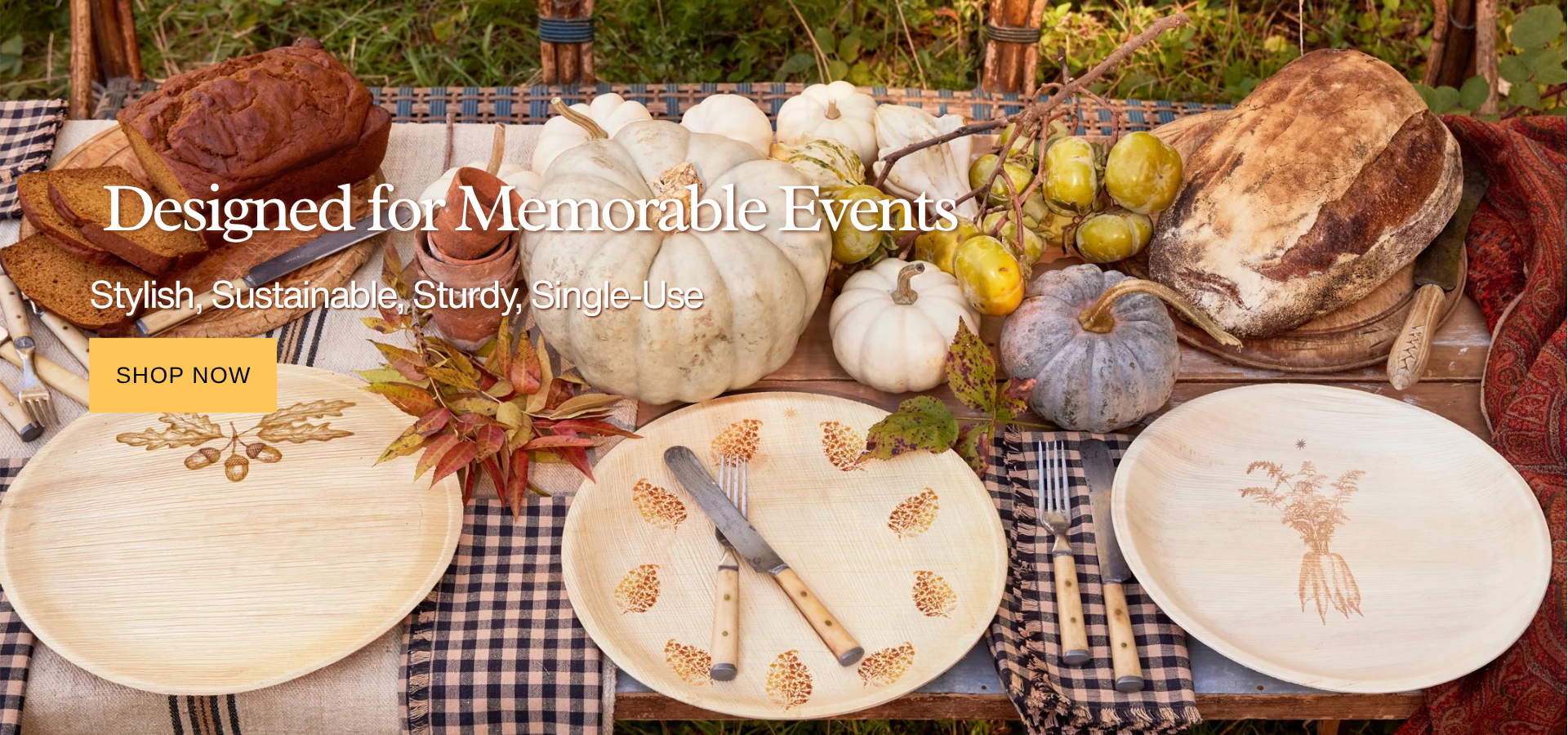 custom-slideshow-image-mobile-block_VGqKk8