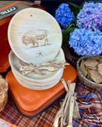American Bison