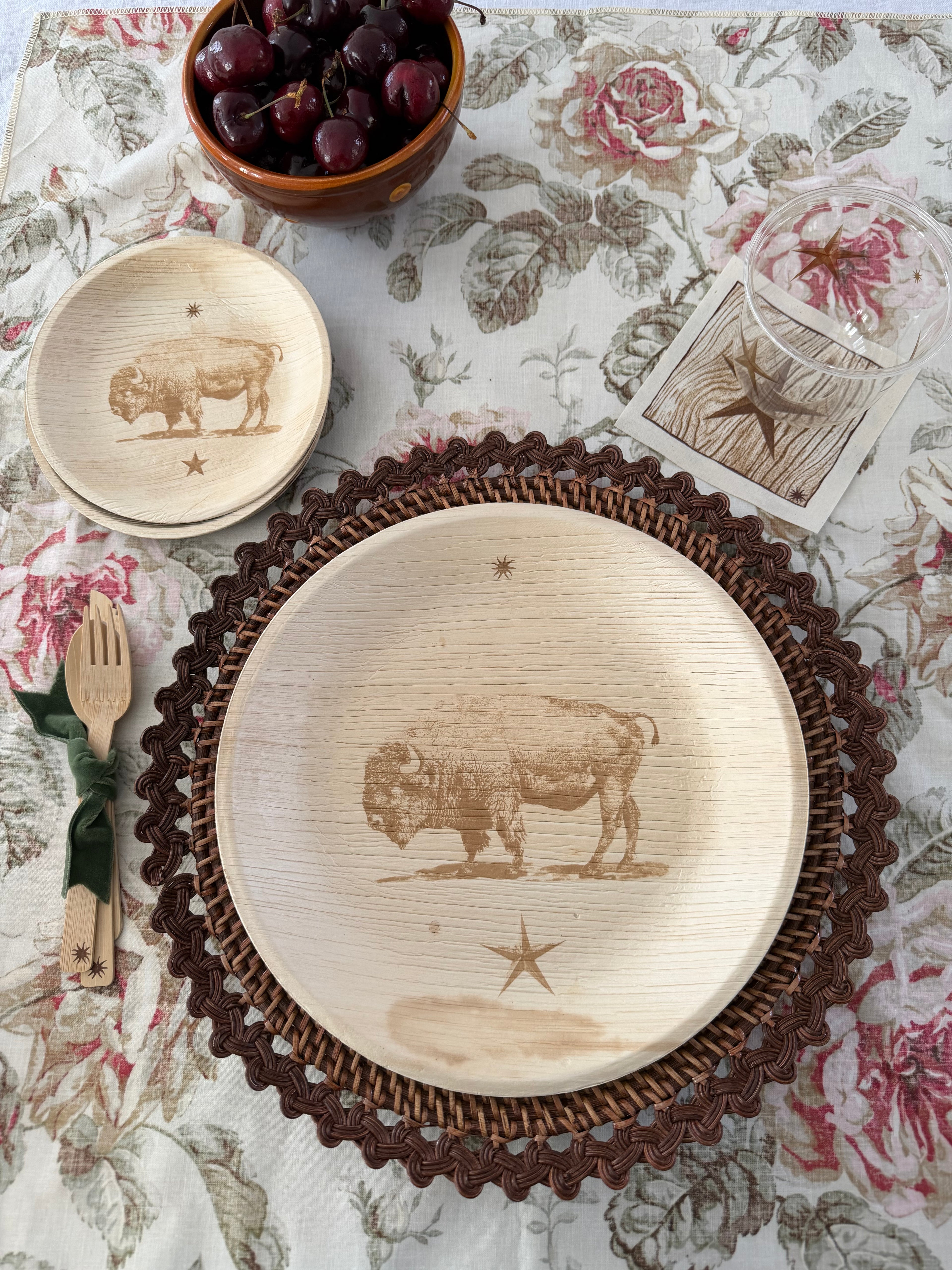 American Bison