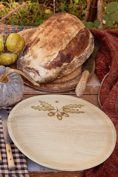 All Season Plates - Acorns