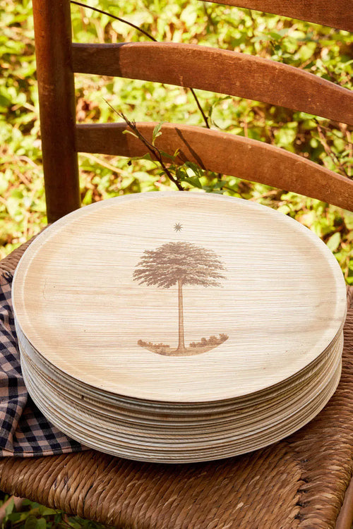 maaterra compostable palm leaf plate with shade tree design.
