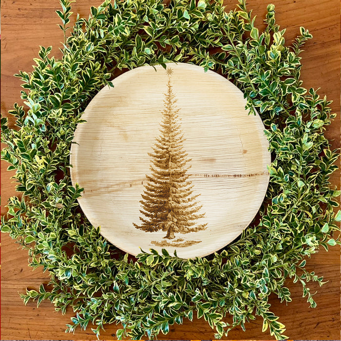maaterra compostable palm leaf plate - ever green