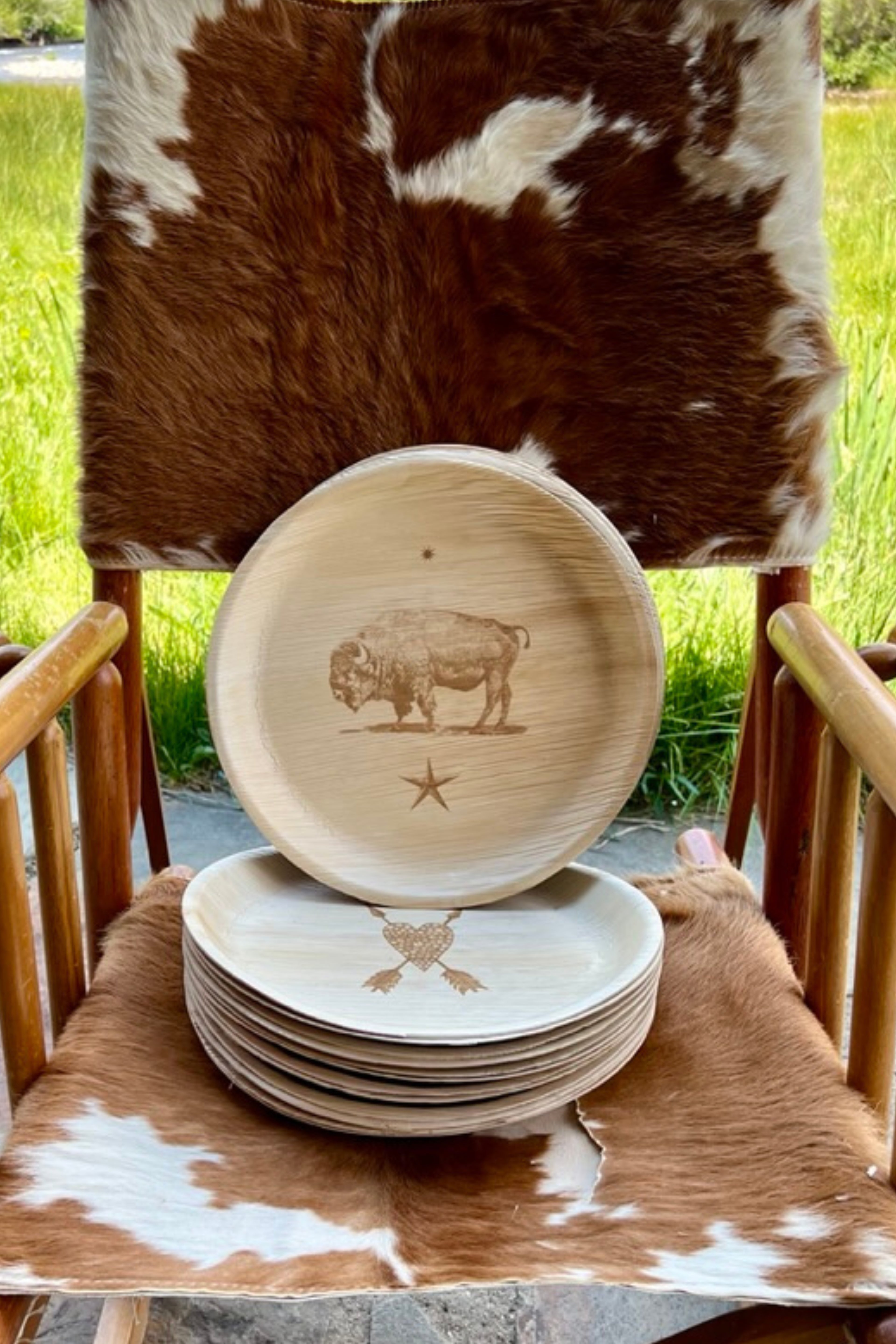 American Bison