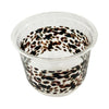 maaterra compostable cup titled with classic tortoise design on a white background