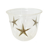 maaterra compostable cup with treasured star design on a white background