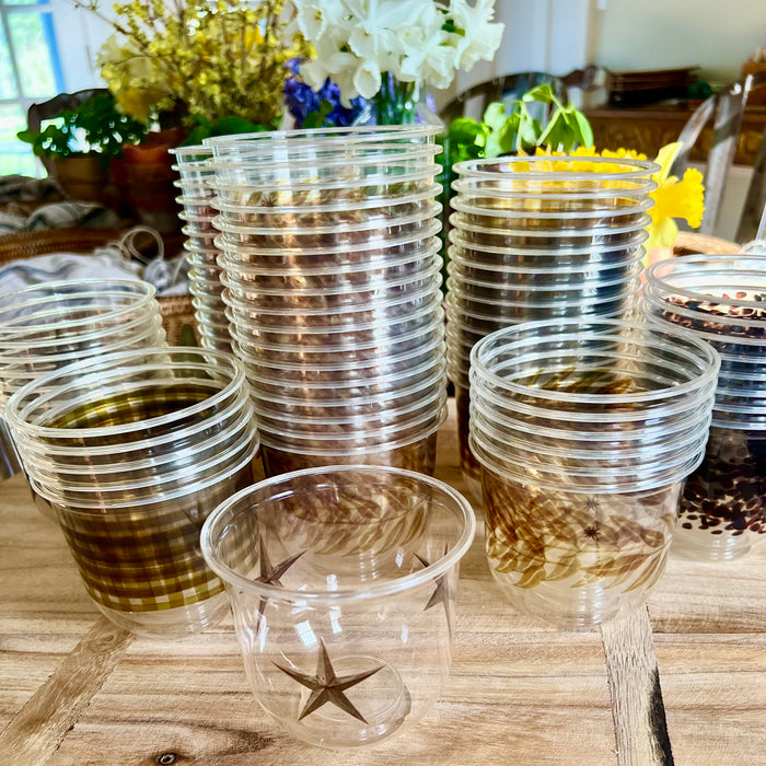 maaterra compostable cups treasured star design featured with other maaterra cups 