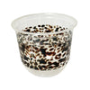 maaterra compostable cups with classic tortoise design on a white background