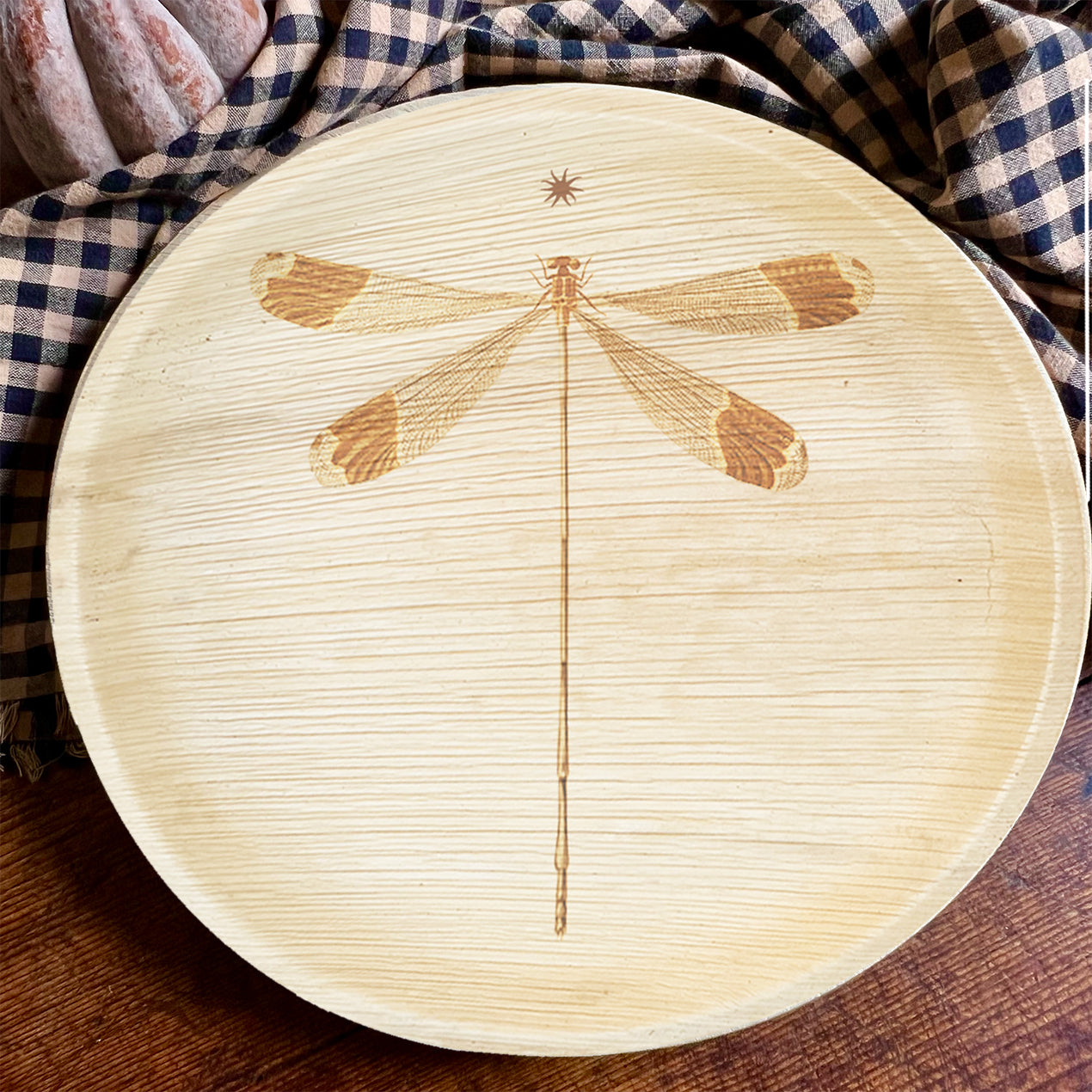 maaterra compostable plate with dragonfly design on blue and white tablecloth