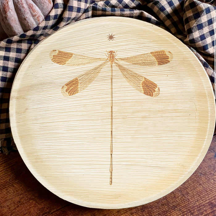 maaterra compostable plate with dragonfly design on blue and white tablecloth