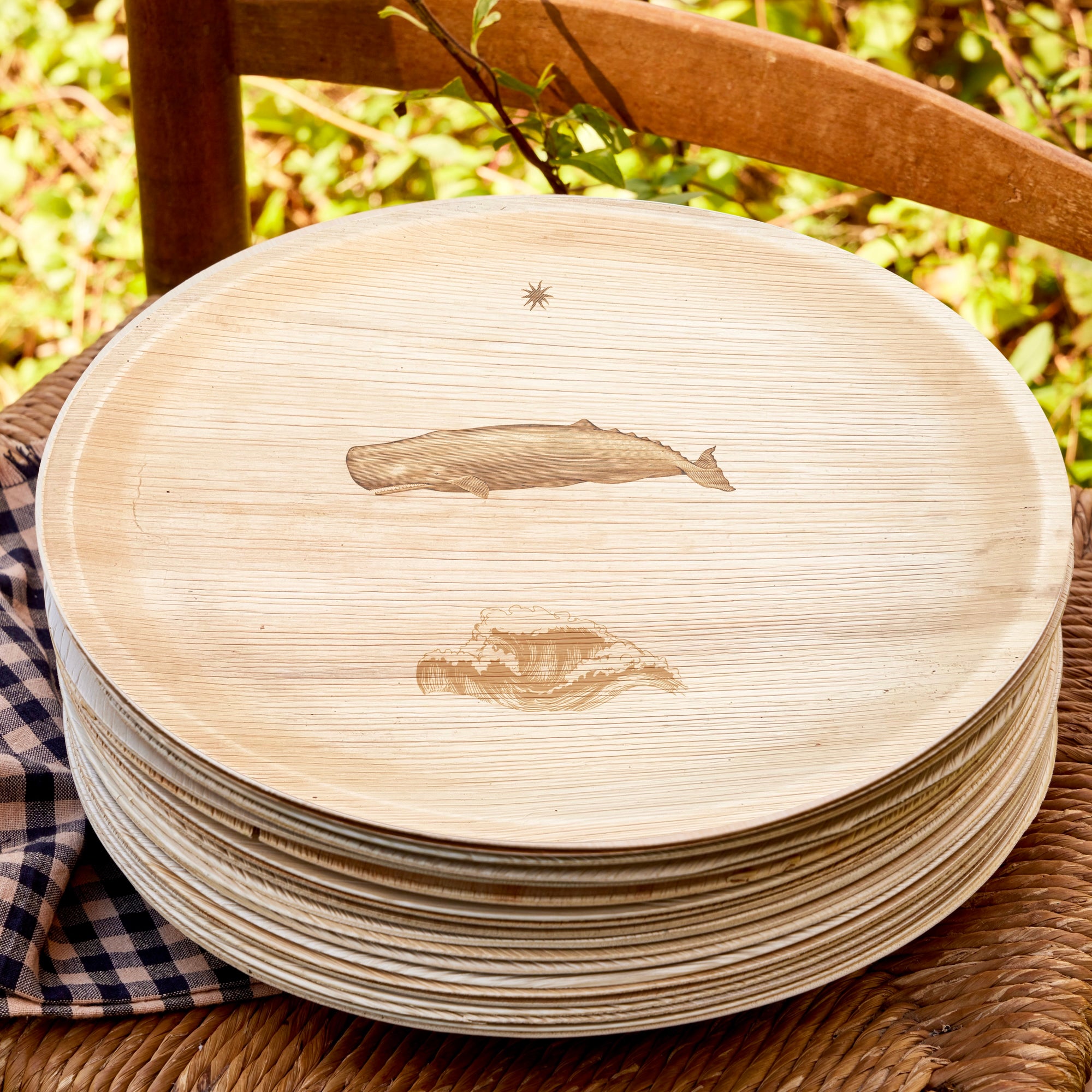 maaterra compostable plate with whale tale design on a chair