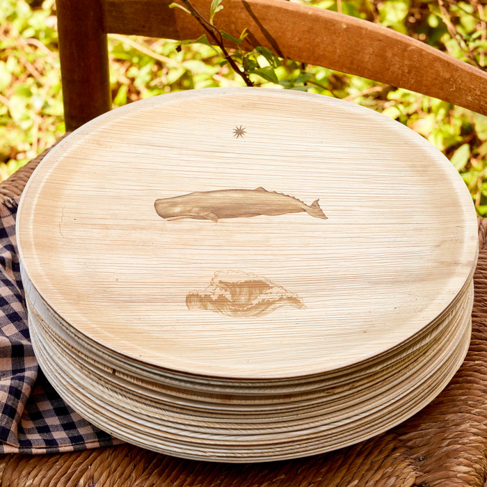 maaterra compostable plate with whale tale design on a chair