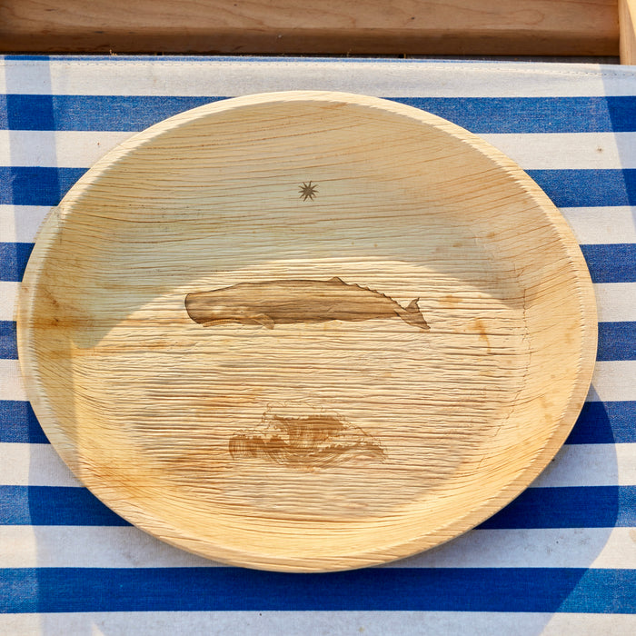 maaterra compostable plate with whale tale design on blue and white tablecloth