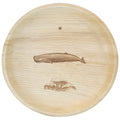 maaterra compostable plate with whale tale design on white background