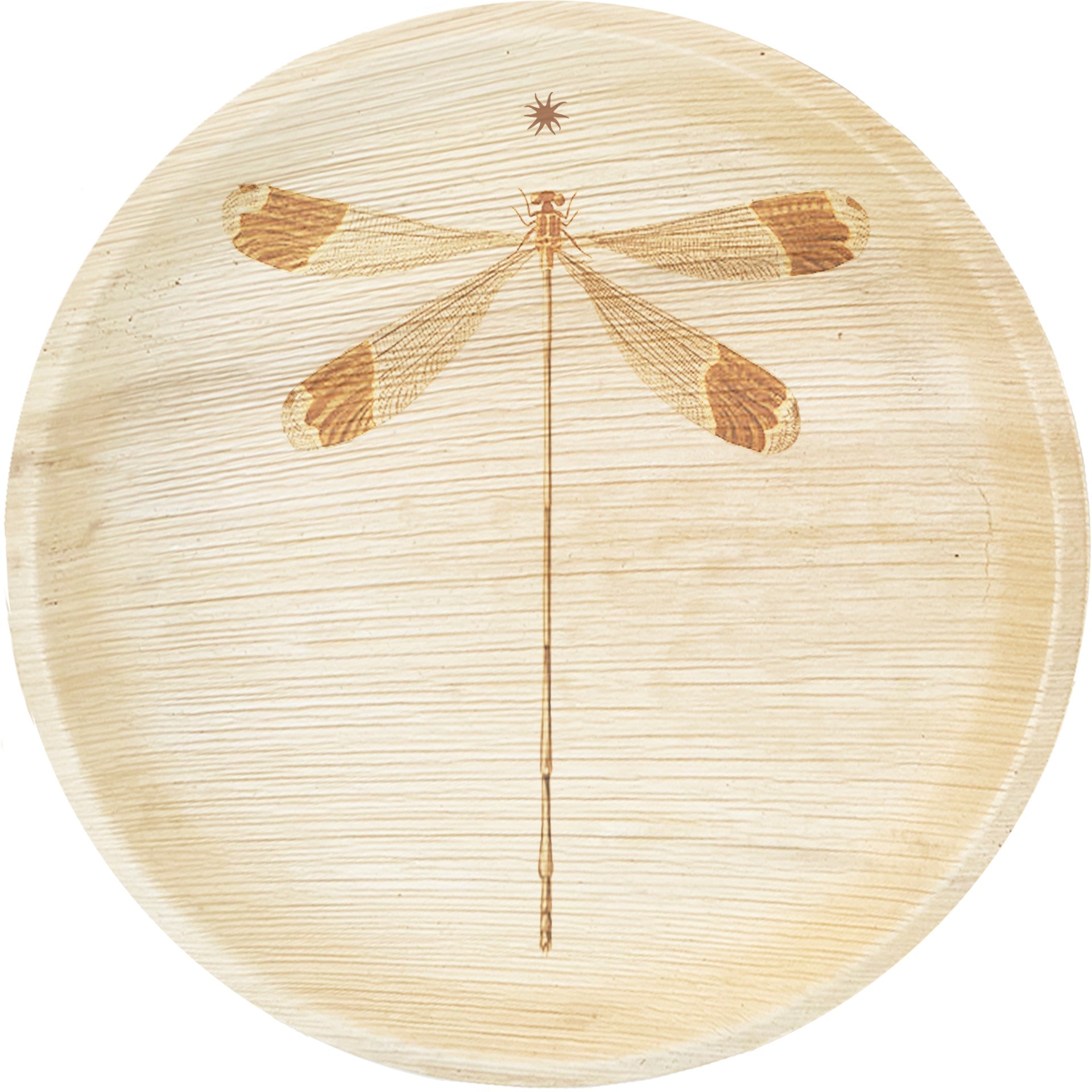 White background. maaterra compostable plate with dragonfly design on a white background