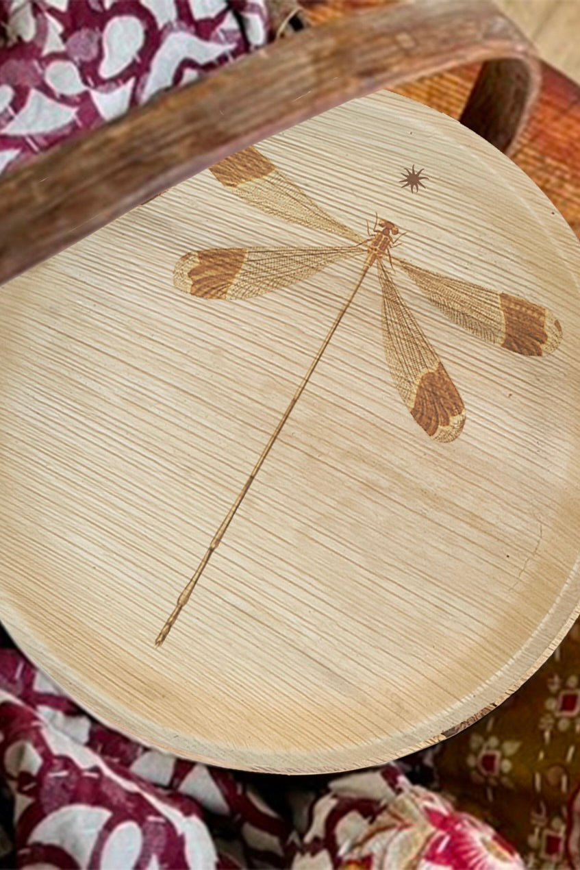 maaterra compostable plate with dragonfly design.