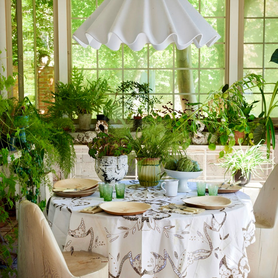 compostable plates on a table filled with green plants.
