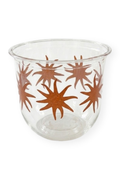 maaterra clear compostable cups with sun design and white background.